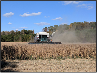 Cover for publication: Virginia On-Farm Soybean Research 2020