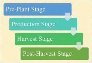A simple flow diagram with different colored boxes showing the movement from pre-plant to production to harvest to post-harvest stages. 