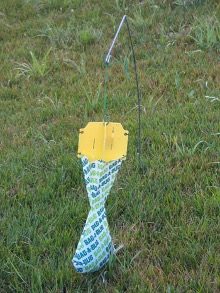 A beetle trap hanging from a metal pole in a lawn