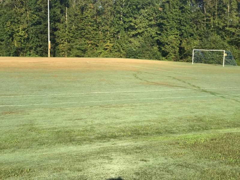 A sports field with a large brown patch of turf where it was damaged by armyworms.