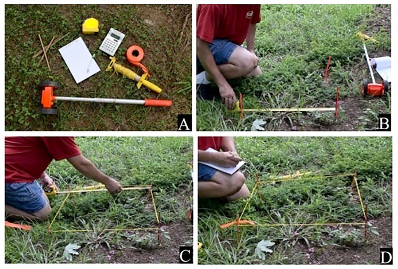 A series of four pictures. The first depicts a set of items lying on the ground, including small stakes, a measuring tape, a notepad and pencil, a calculator, a bolt of survey string, orange tape, and a measuring wheel. The second shows a person measuring the distance between two stakes that have been inserted into the ground. The third shows the person measuring survey string which outlines a square area marked by four stakes. The fourth shows the person making notations in a notebook.