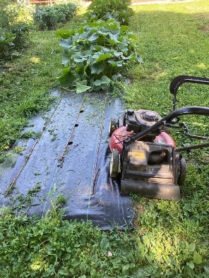Photo 2. A mower extends over the edge of a woven poly raised bed completely cutting the vegetation along the edge