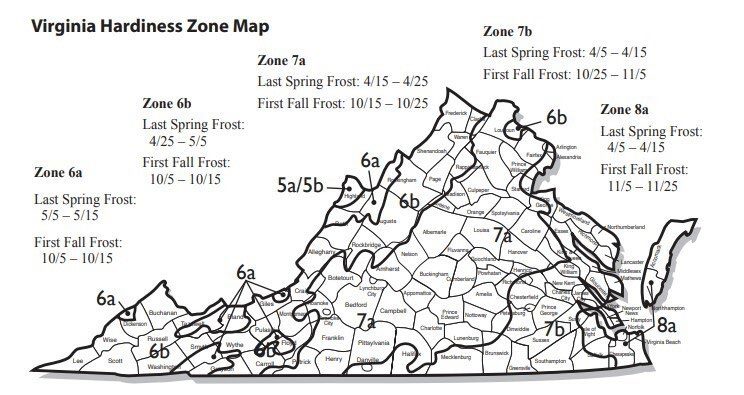 Black and white map of Virginia with counties and hardiness zones (5a, 5b, 6a, 6b, 7a, 7b, and 8b) outlined. Date ranges for last spring frost and first fall frost are provided for zones 6a through 8a.
