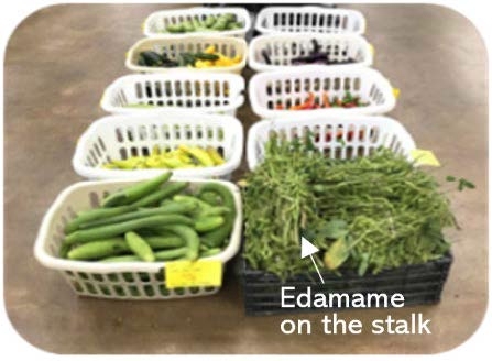 A photo of small plastic baskets that contain a variety of vegetables on a table. The black basket (front, right) contains on-the-stalk edamame plants. An arrow points to this basket in order to identify these plants.