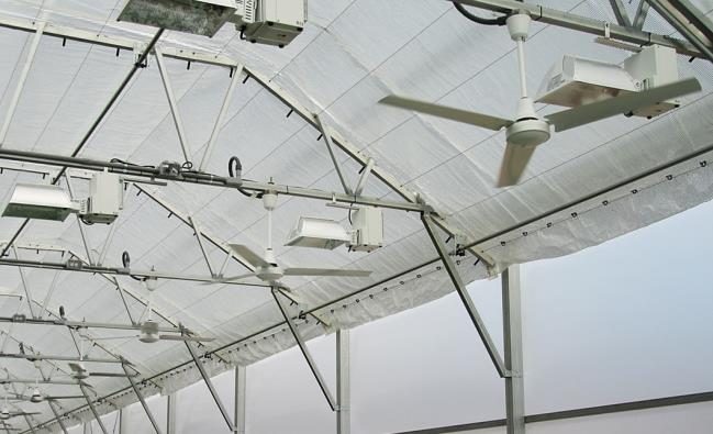 Figure 6. Multiple paddle fans installed on structural supports high above the growing area.
