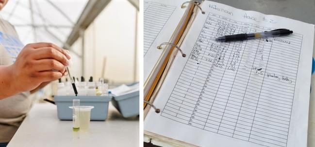 Figure 10. A pH electrode measuring pH of a nutrient solution in a test tube (left), and a binder with logs documenting EC and pH measurements (right).