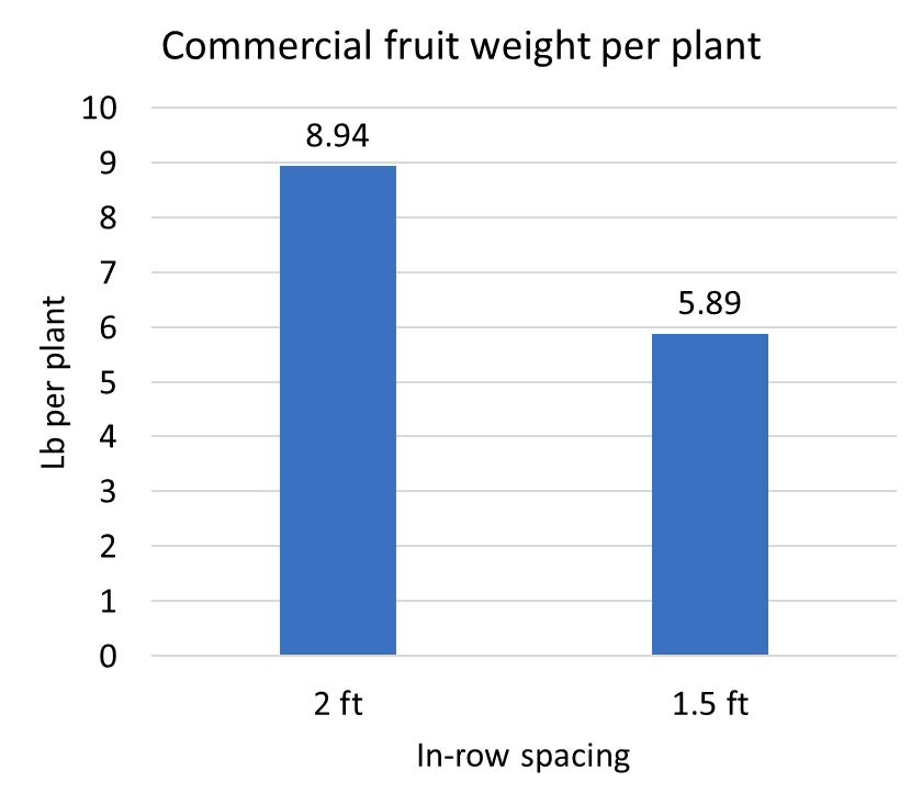 Bar graph of commercial fruit weight per plant bween spacing configrations, with two feet in the lead.