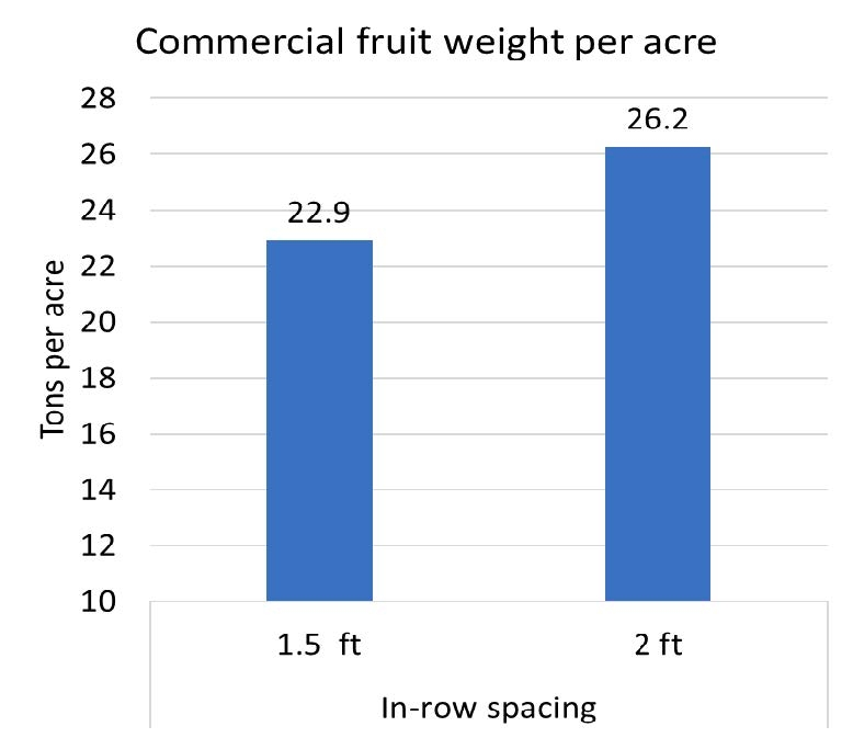 Bar graph representing commercial fruit weight per acre based on spacing, with two feet taking the lead.