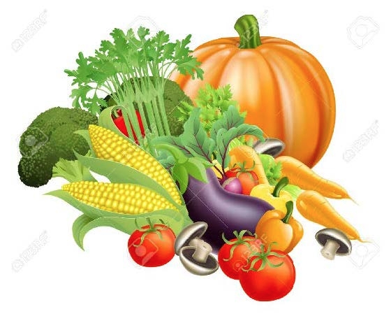 Drawn image of vegetables including corn, carrots, tomatoes, eggplants, mushrooms, broccoli, and pumpkins.