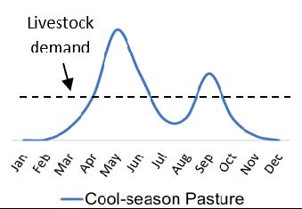 Line graph of grass growth throughout the year, highlighting the major flush of spring grass production.