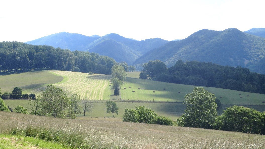 Picturesque photo of a green field in the foreground and mountains in the background.