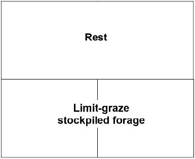 Text box showing rest over two small boxes   of text that says limit-graze stockpiled forage.