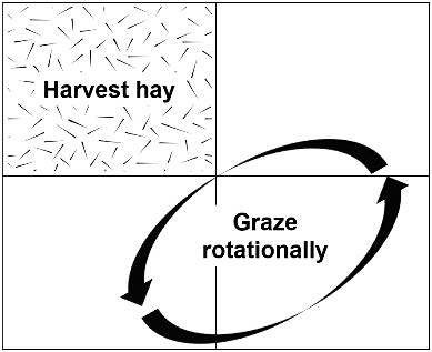 Diagram of procedure for excluding a portion of pasture for haymaking, then bringing the excluded area into the grazing rotation.