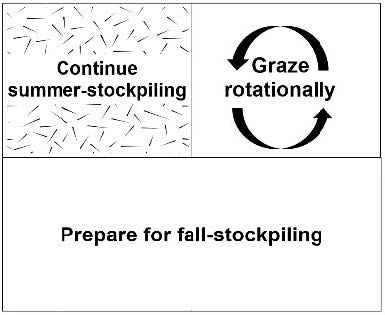 Diagram showing summer-stockpiling protocol.
