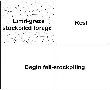 Diagram showing summer-stockpiling protocol.