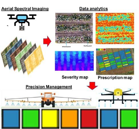  illustration showing aerial spectral imaging, data analytics, severity map, prescription mapand percision management.