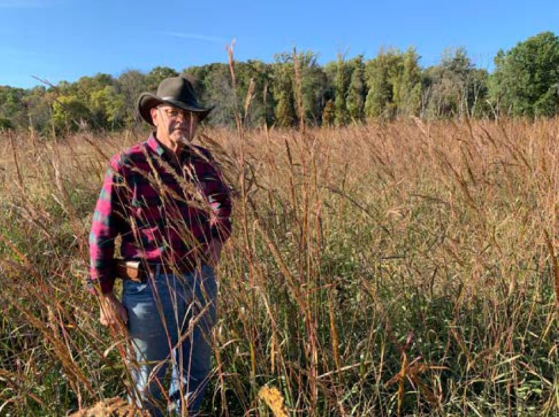 Bob standing in the field with the three-way mixture of native grasses at the end of the establishment year.