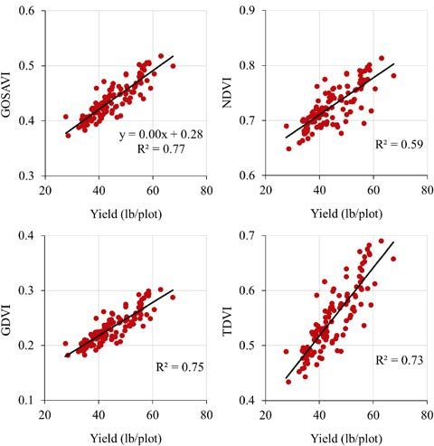 Graphs showing accuracy of four different health indices developed from drone imagery to estimate corn grain yield.