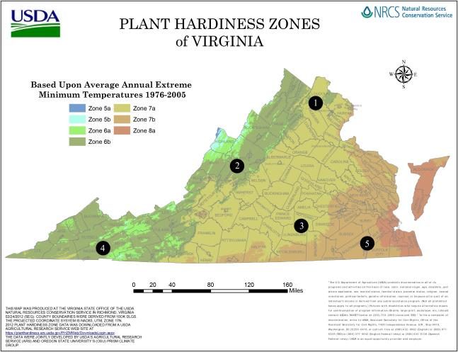 Hardiness zone map of Virginia.