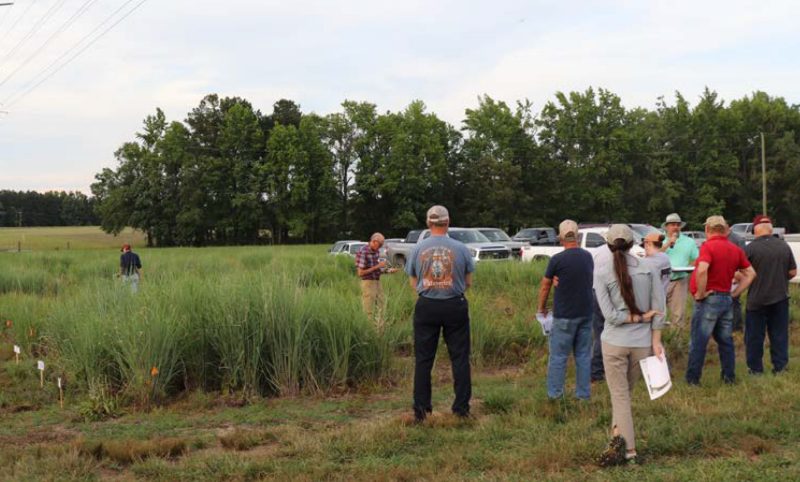Cover photo: Participants at a field day listen and watch as a presenter guides them through native warm season grass variety trial plots.
