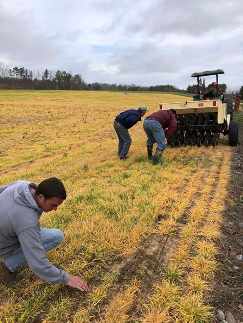 Checking seed flow and planting depth while cross-planting the NWSG mixture in March 2020 in Blackstone, VA.