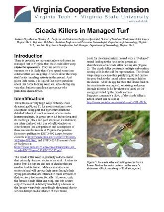 Cover page of the publication.
