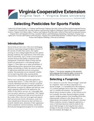 Cover page of the publication.