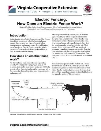 Cover page of the publication.
