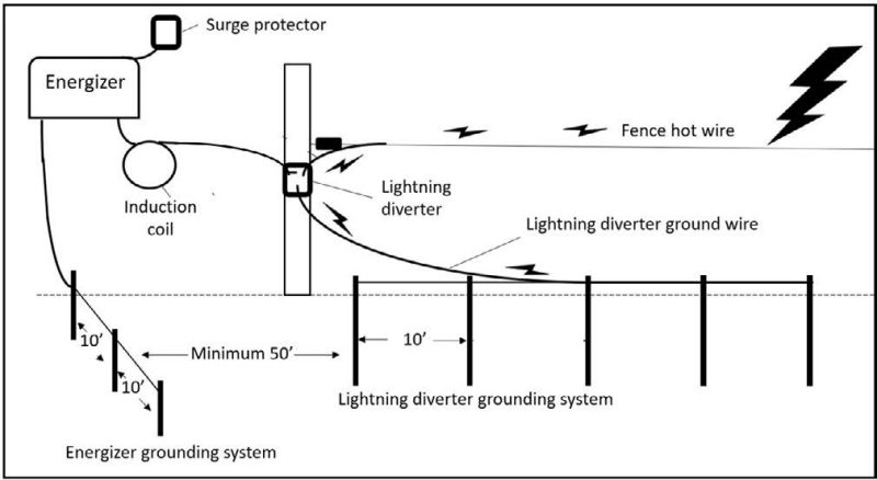   An energizer and electric fence protected by a surge protector on one end and an induction coil and lightning diverter, complete with a lightning diverter grounding system buried at least 50 feet from the energizer grounding system, on the other.