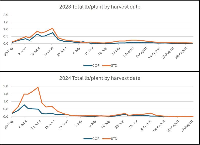 2023 Total lb/plant by harvest date