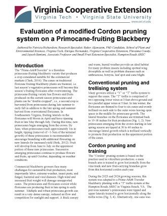 Cover page of the publication.