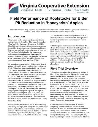 Cover page of the publication.