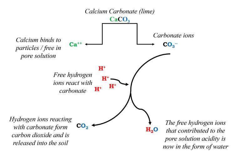 Figure 2. A diagram of a chemical reactions when calcium carbonate reacts with free hydrogen ions. (Rectangle)