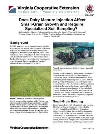 Cover page of the publication.