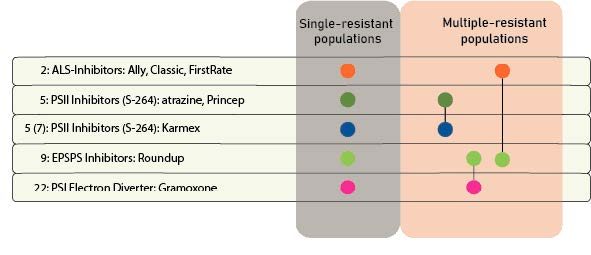 Figure 6. Herbicide-resistance within the United States. Figure adapted from Pittman, 2021. (Chart graphic by GROW, Lourdes Rubione).