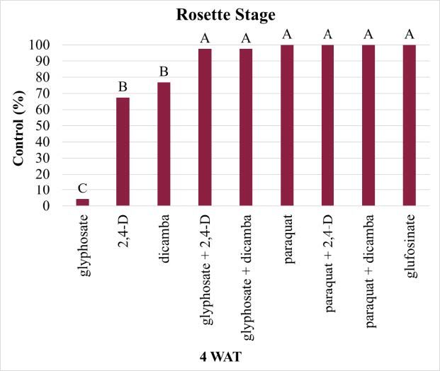 Figures 7 & 8. Effectiveness of multiple herbicides/herbicide mixtures at terminating various stages of horseweed 4 weeks after treatment (WAT). Means with the same letter are not different according to Fisher’s protected LSD test at α = 0.05. Figure from Flessner & Pittman, 2021.