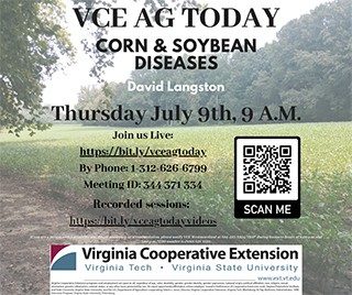 Cover for publication: VCE Ag Today: Disease Management of Corn and Soybeans