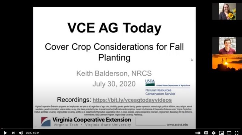 Cover for publication: VCE Ag Today: Cover Crop Considerations for Fall Planting