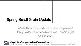 Cover for publication: VCE Ag Today: Spring Small Grain Update