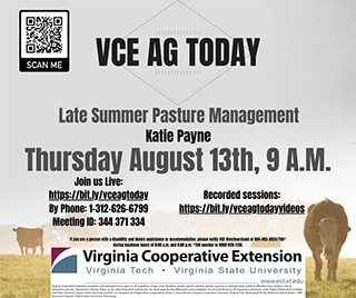 Cover for publication: VCE Ag Today: Late Summer Pasture Management