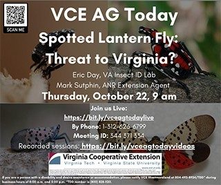 Cover for publication: VCE Ag Today: Spotted Lanternfly – A Threat to Virginia?