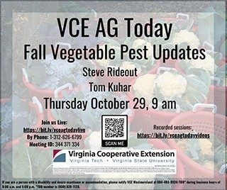 Cover for publication: VCE Ag Today: Fall Vegetable Pest Update