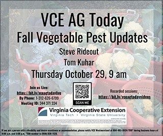 Cover for publication: VCE Ag Today: Fall Vegetable Pest Update