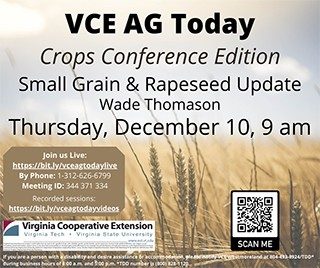Cover for publication: VCE Ag Today: Small Grain and Rapeseed Update