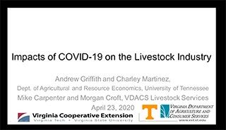 Cover for publication: VCE Ag Today:  Impacts of COVID-19 on the Livestock Industry