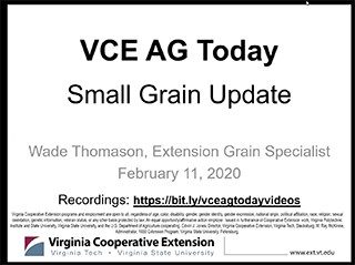 Cover for publication: VCE Ag Today: Small Grains Update