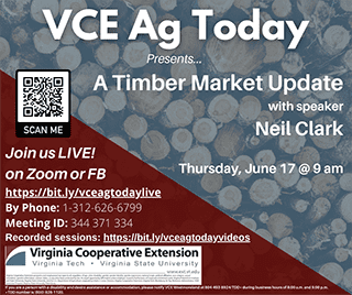 Cover for publication: VCE Ag Today: Timber Market Update