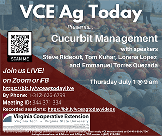Cover for publication: VCE Ag Today: Cucurbit Management