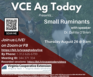 Cover for publication: VCE Ag Today: Small Ruminants