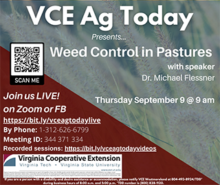 Cover for publication: VCE Ag Today: Weed Control in Pastures